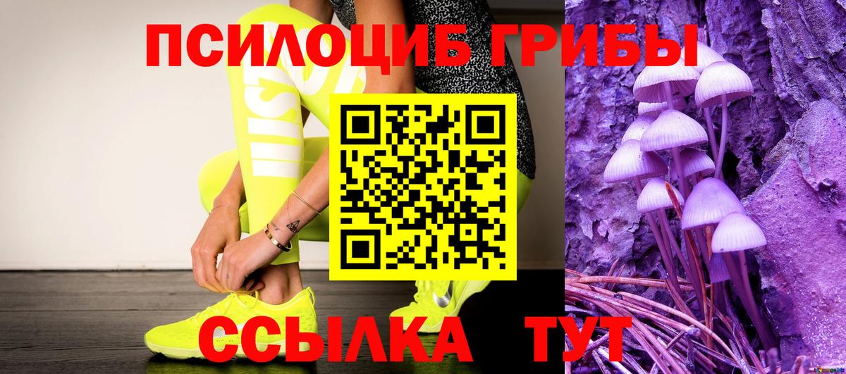 купить наркотик  Вход с VPN  Донской  Галлюциногенные грибы Psilocybine cubensis  Псилоцибиновые грибы прущие грибы 